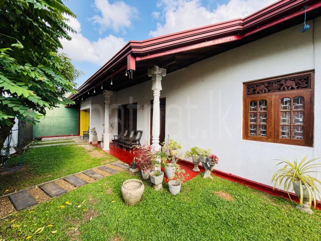 premium-listing-image