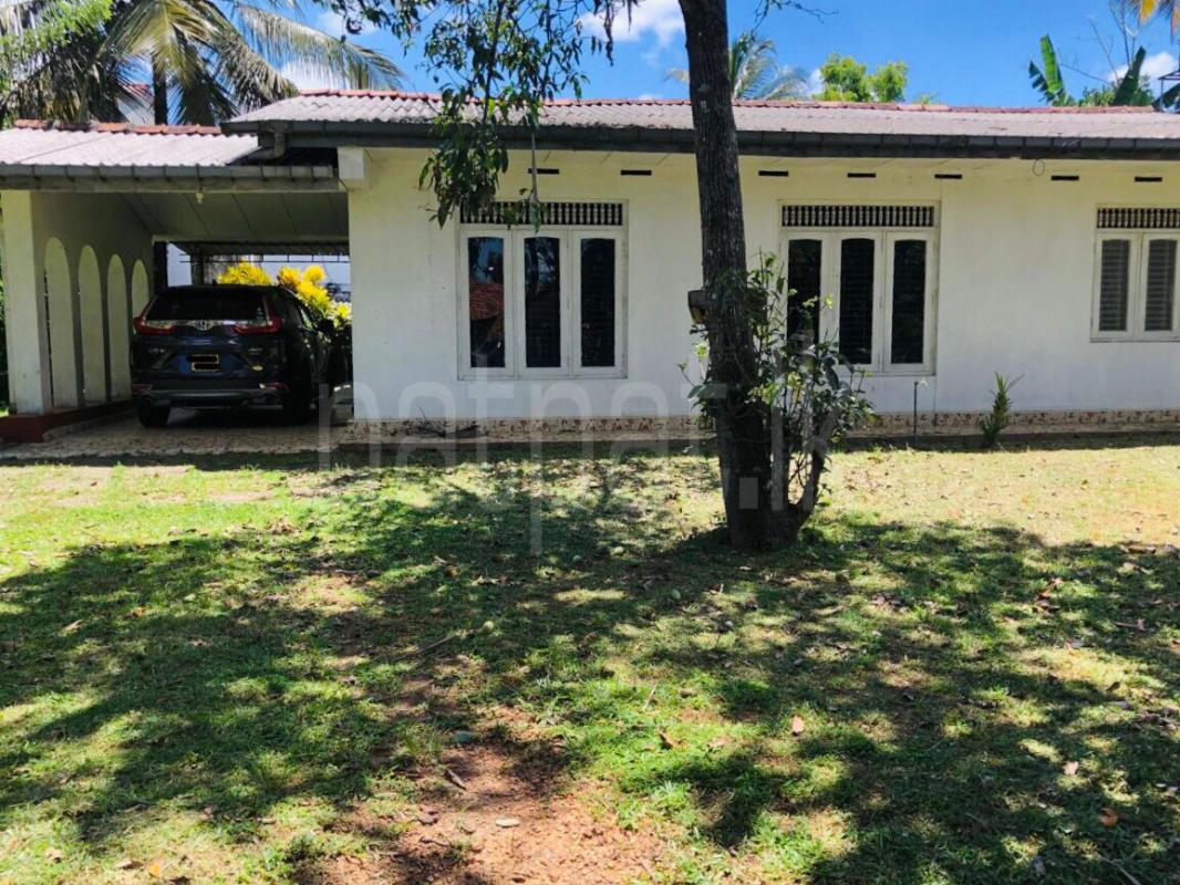 House for Rent in Piliyandala