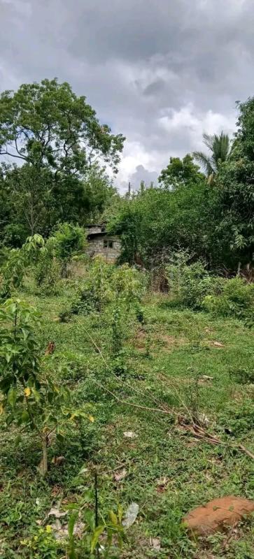 Commercial Land for Sale in Kataragama ads-image-1