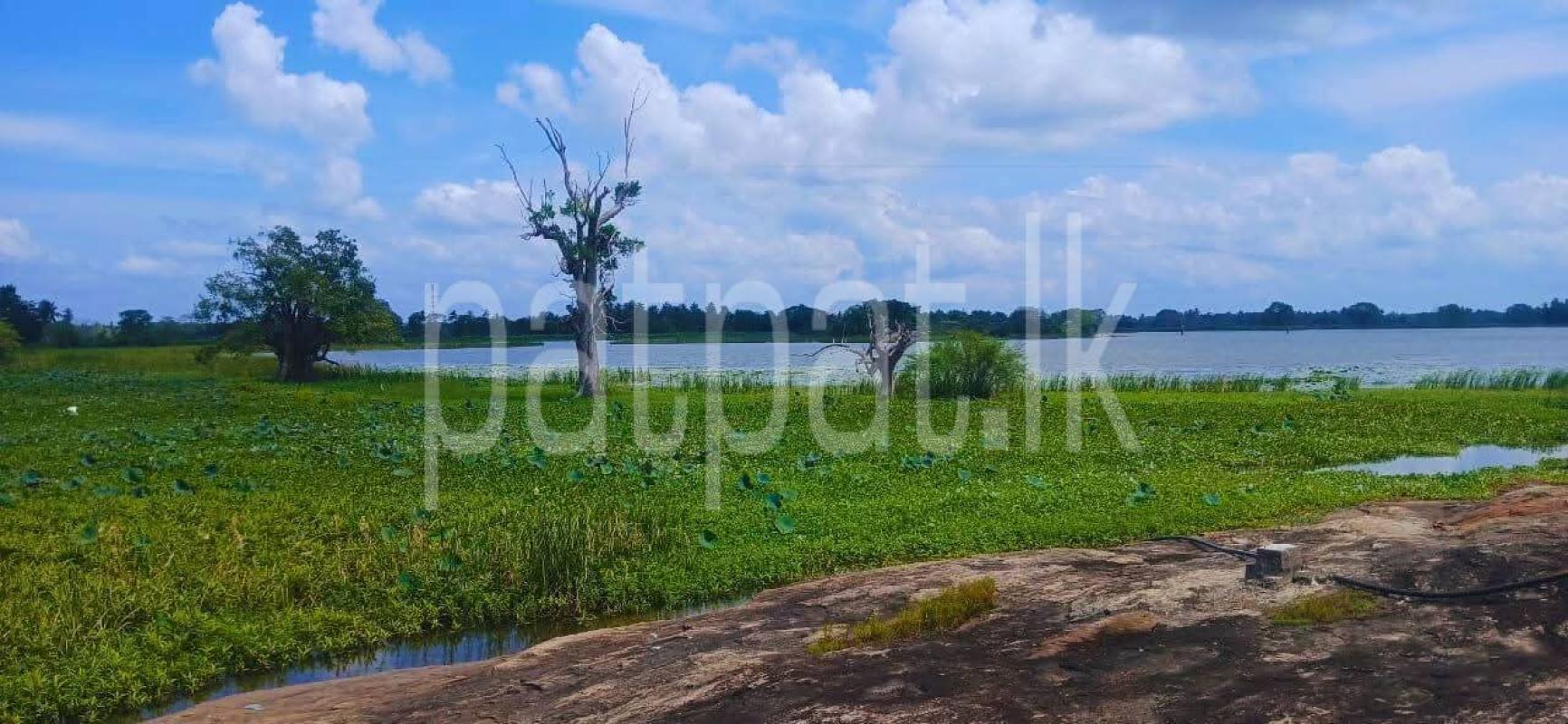 Agricultural Land for Sale in Kataragama