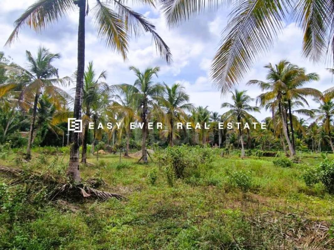 Residential Land for Sale in Kuliyapitiya
