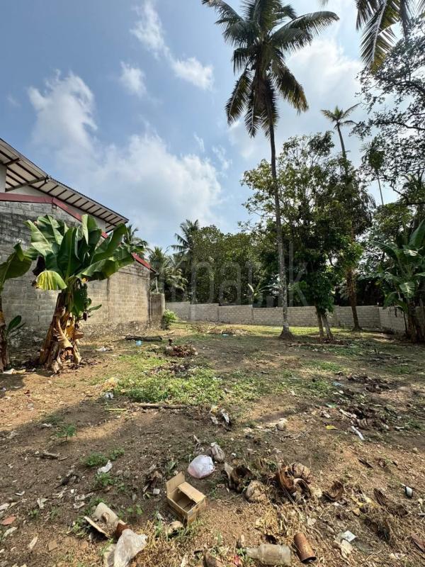 Residential Land for Sale in Piliyandala ads-image-1
