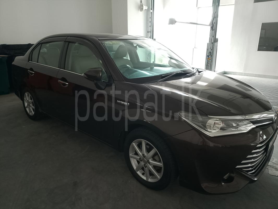 Advertisement image 6