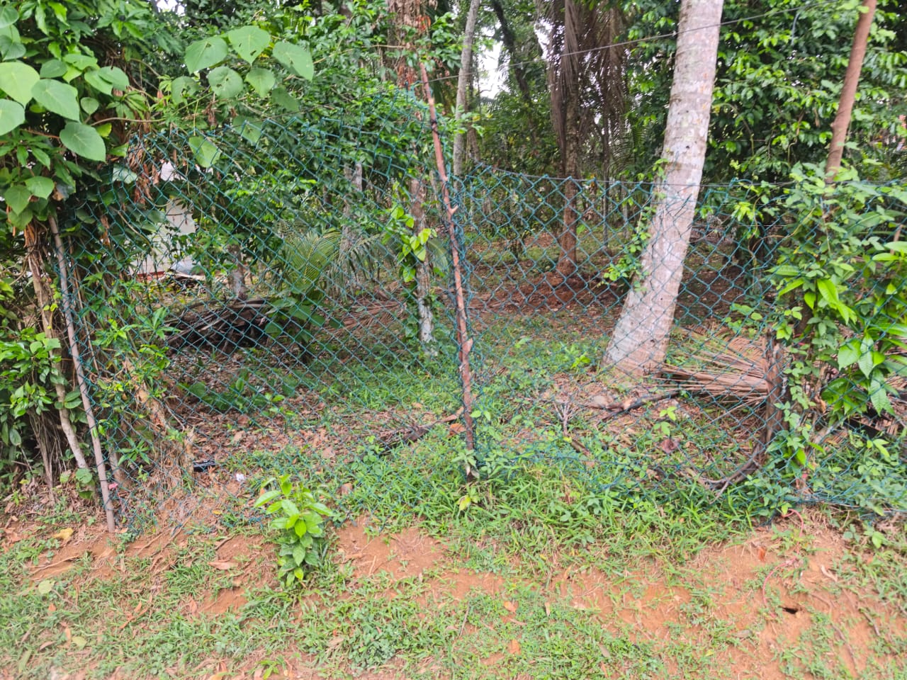 Residential Land for Sale in Kadawatha