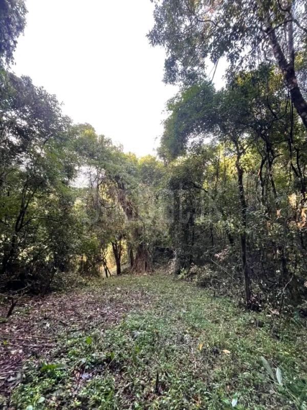 Agricultural Land for Sale in Kandalama