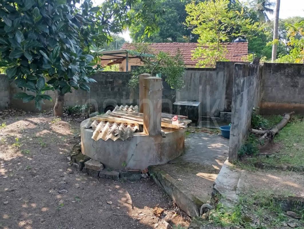 House for Sale in Ridigama