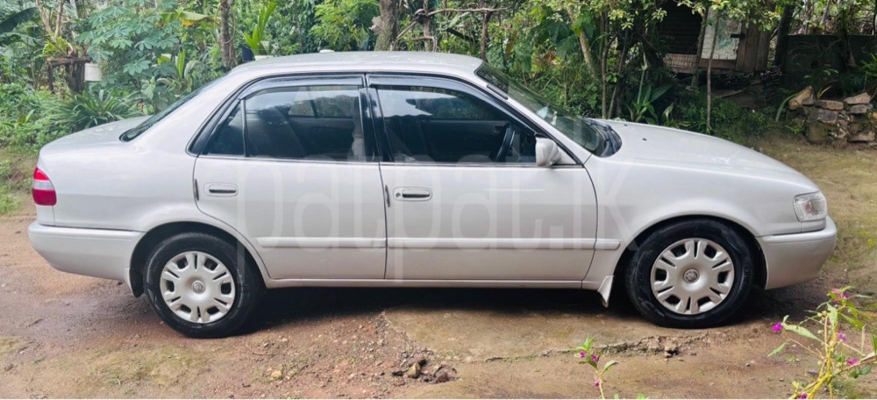 Advertisement image 1