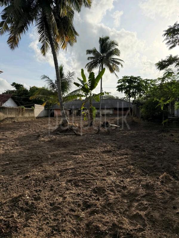 Agricultural Land for Sale in Ridigama ads-image-1