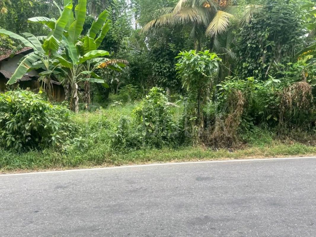Commercial Land for Sale in Pamunugama