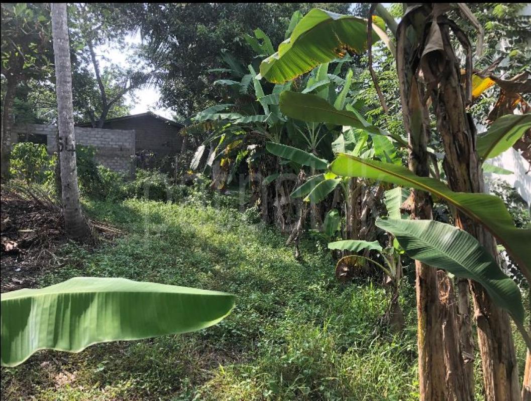 Residential Land for Sale in Bandaragama