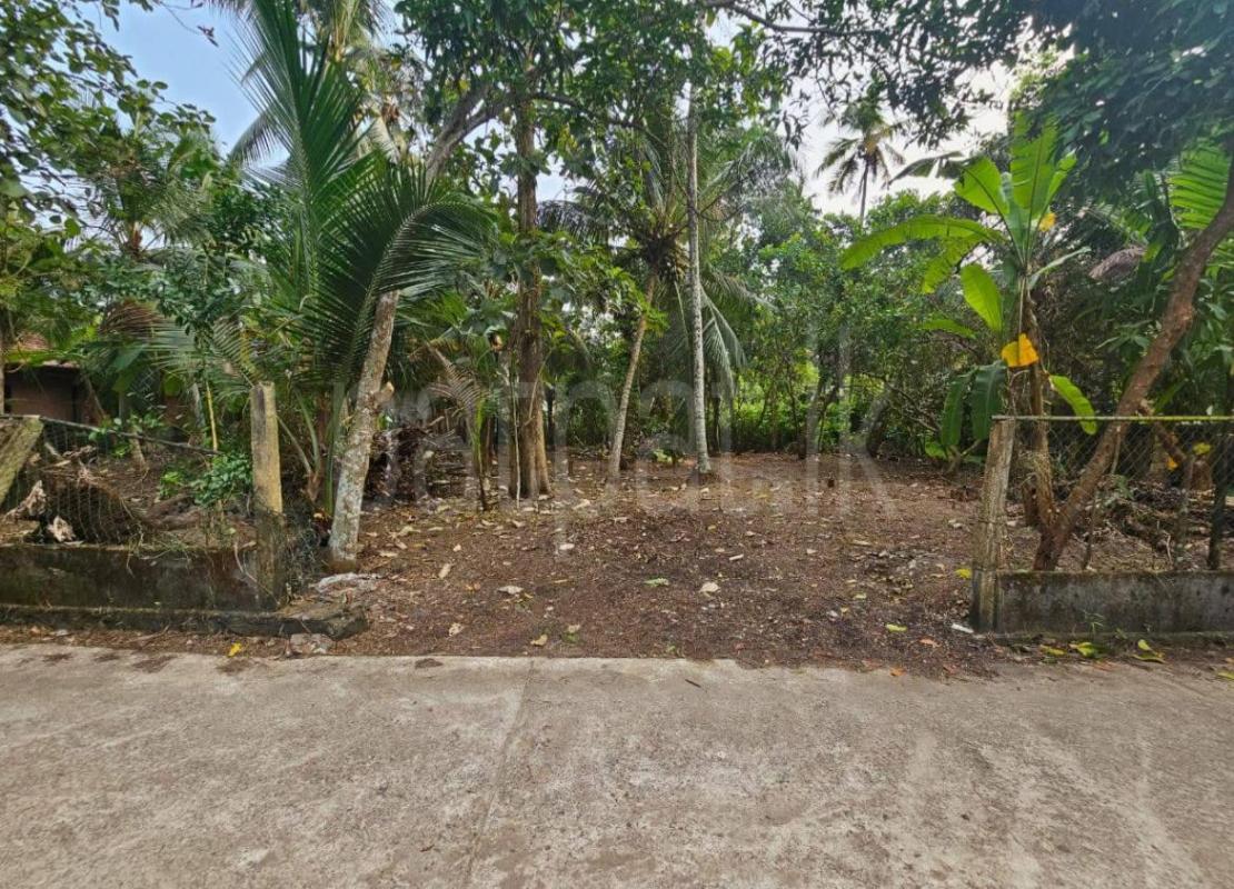 Commercial Land for Sale in Gampaha