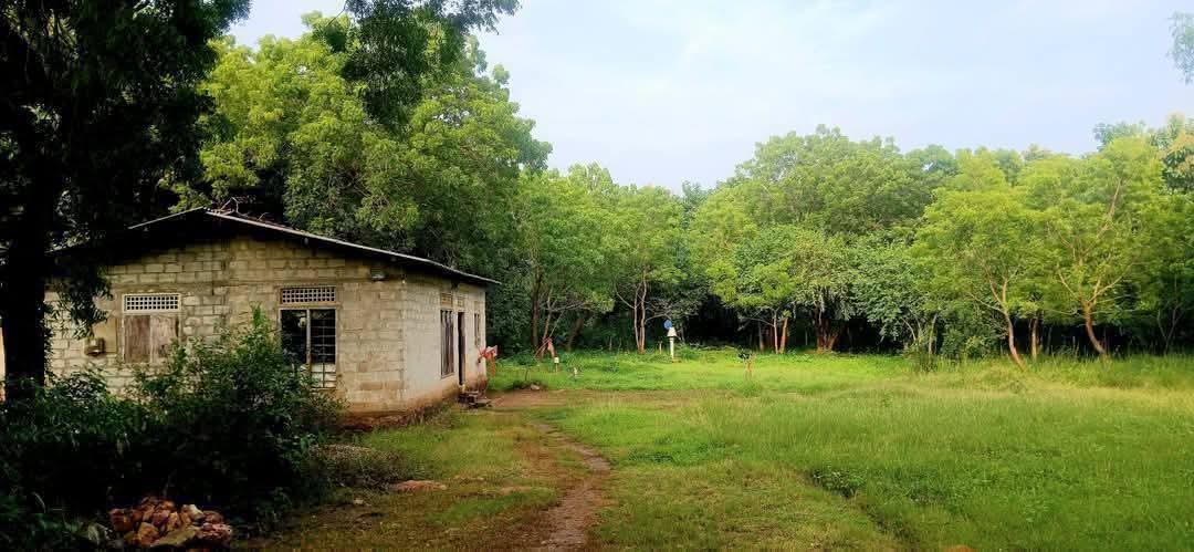 Residential Land for Sale in Kataragama