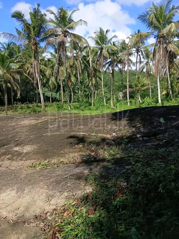 Agricultural Land for Sale in Maho