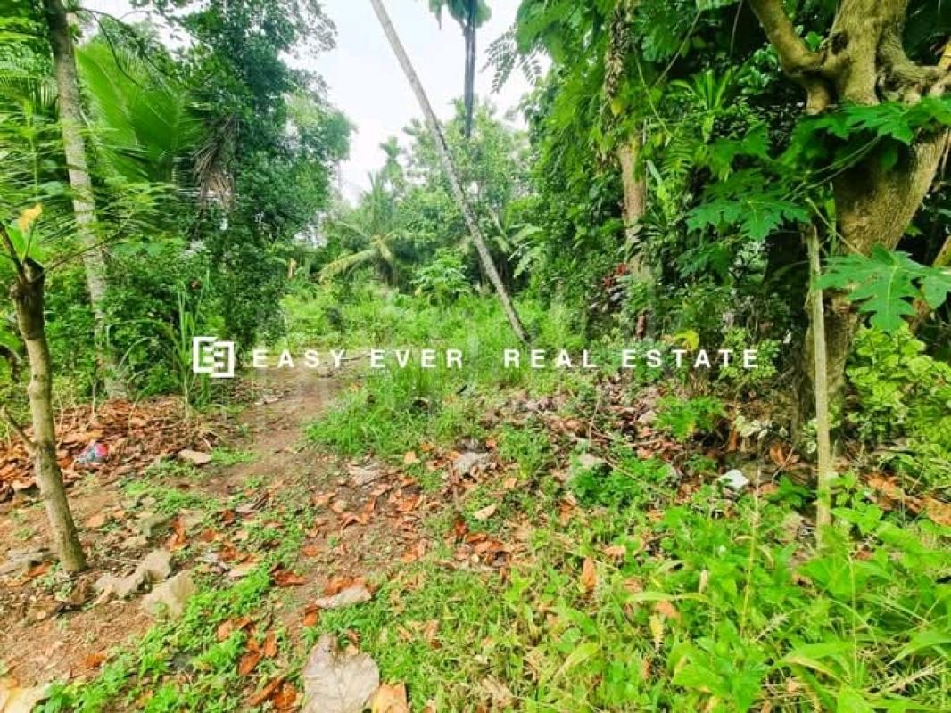 Commercial Land for Sale in Veyangoda