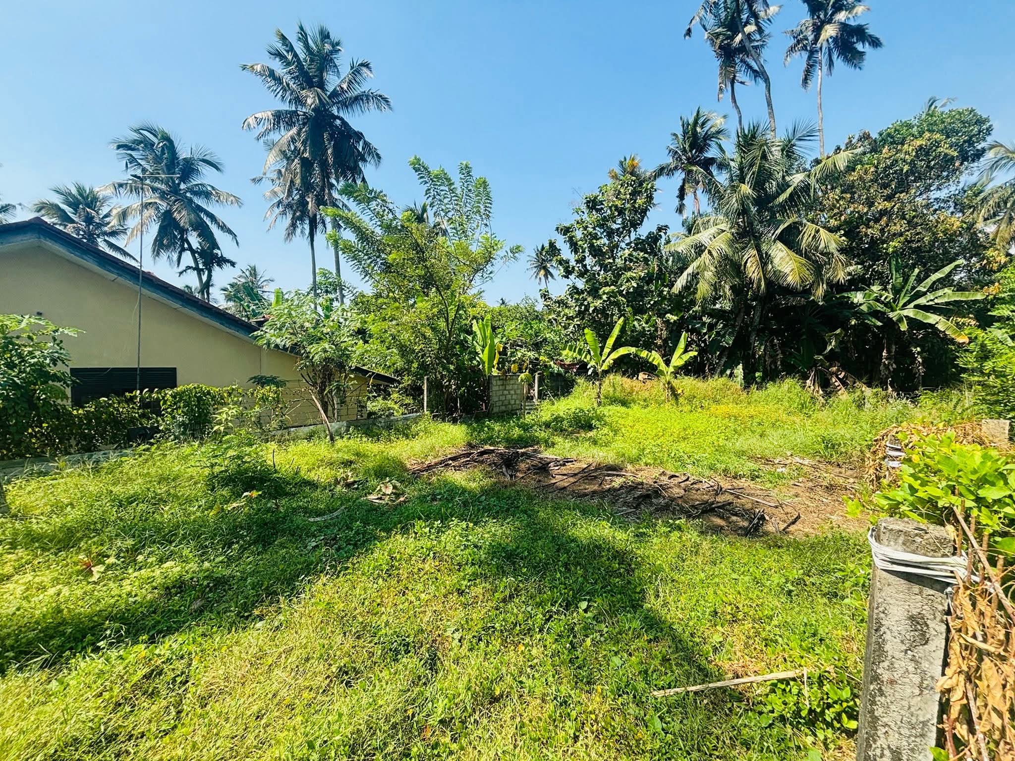 Commercial Land for Sale in Panadura ads-image-1