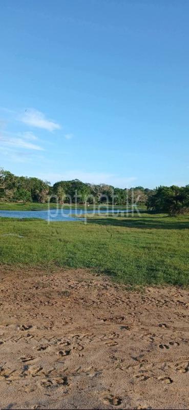 Residential Land for Sale in Kataragama