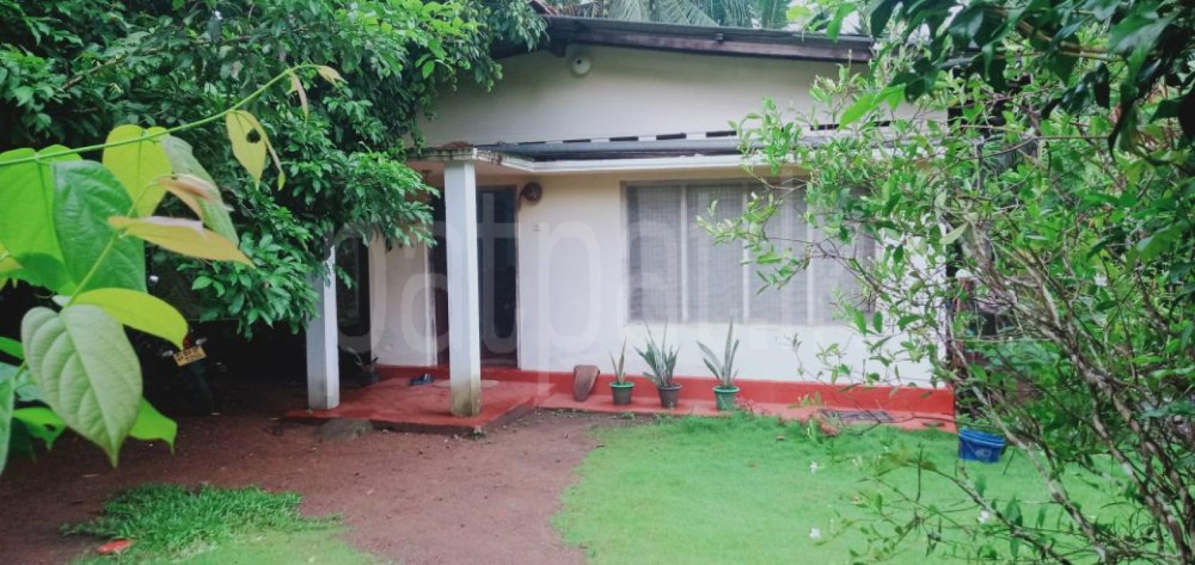 premium-listing-image