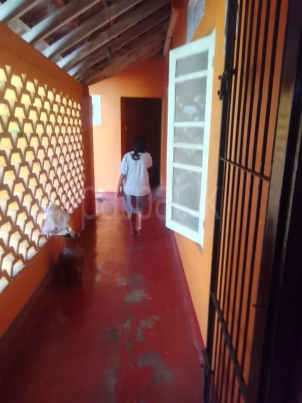 House for Rent in Piliyandala