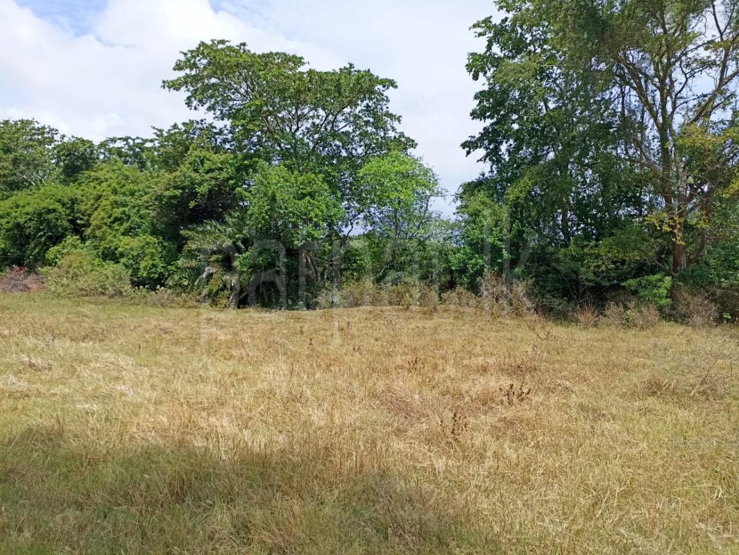 Commercial Land for Sale in Puttalam ads-image-1