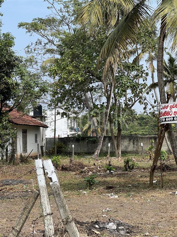 Residential Land for Sale in Negombo