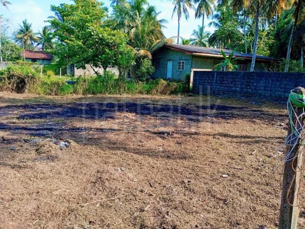 Agricultural Land for Sale in Panadura
