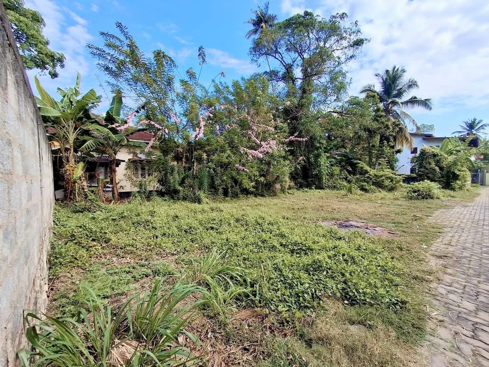Agricultural Land for Sale in Panadura