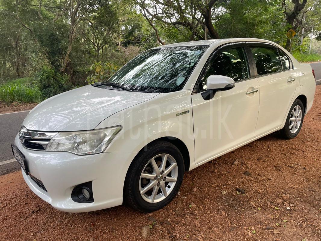 Advertisement image 1