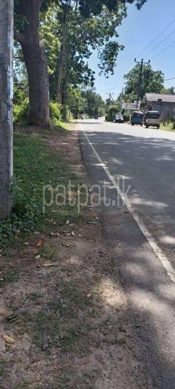 Agricultural Land for Sale in Ambalangoda