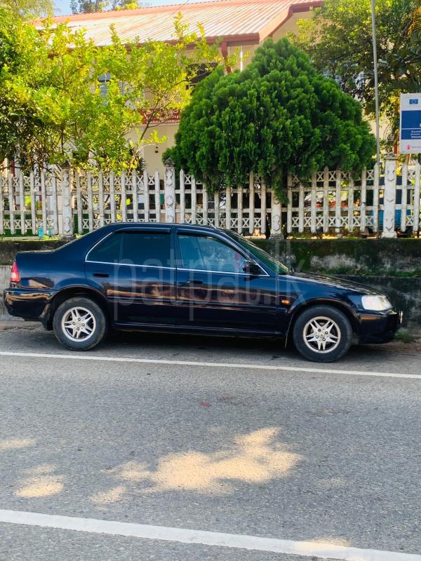 Advertisement image 3