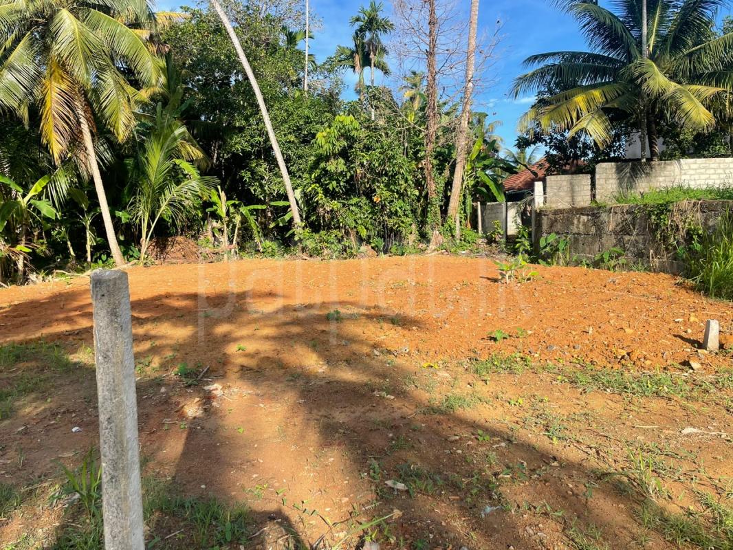  Land for Sale in Matara