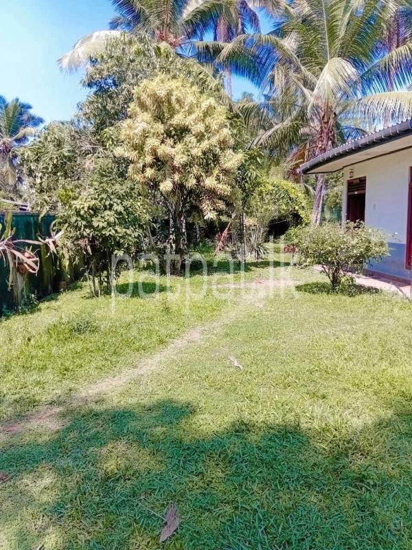 House for Sale in Delgoda