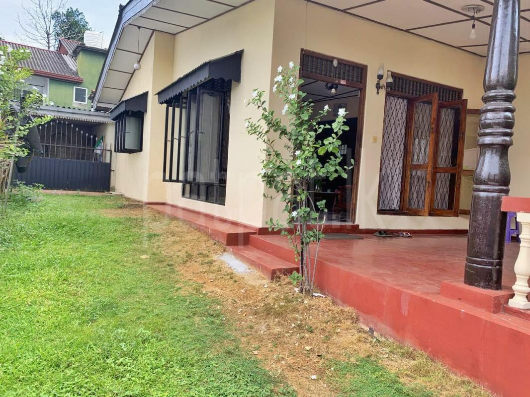 premium-listing-image