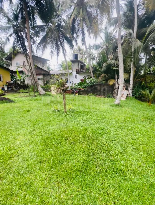 Commercial Land for Sale in Unawatuna