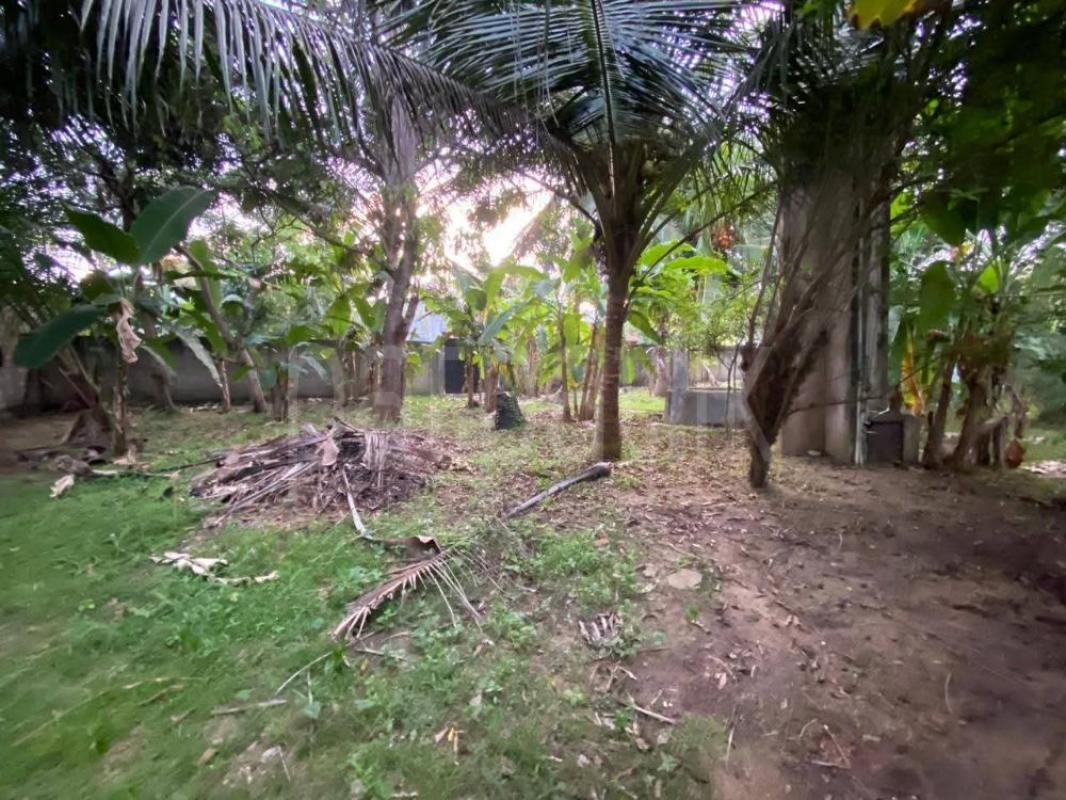 House for Rent in Ja-Ela ads-image-1