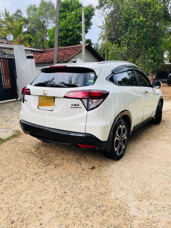 Advertisement image 4