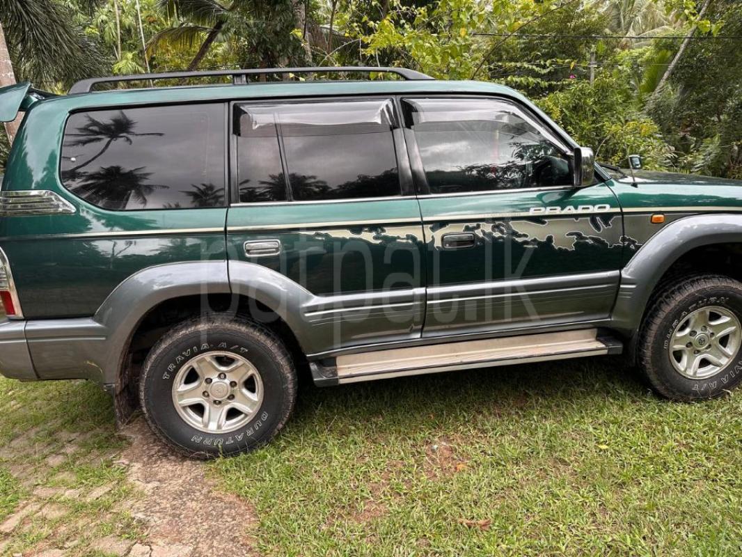 Advertisement image 1