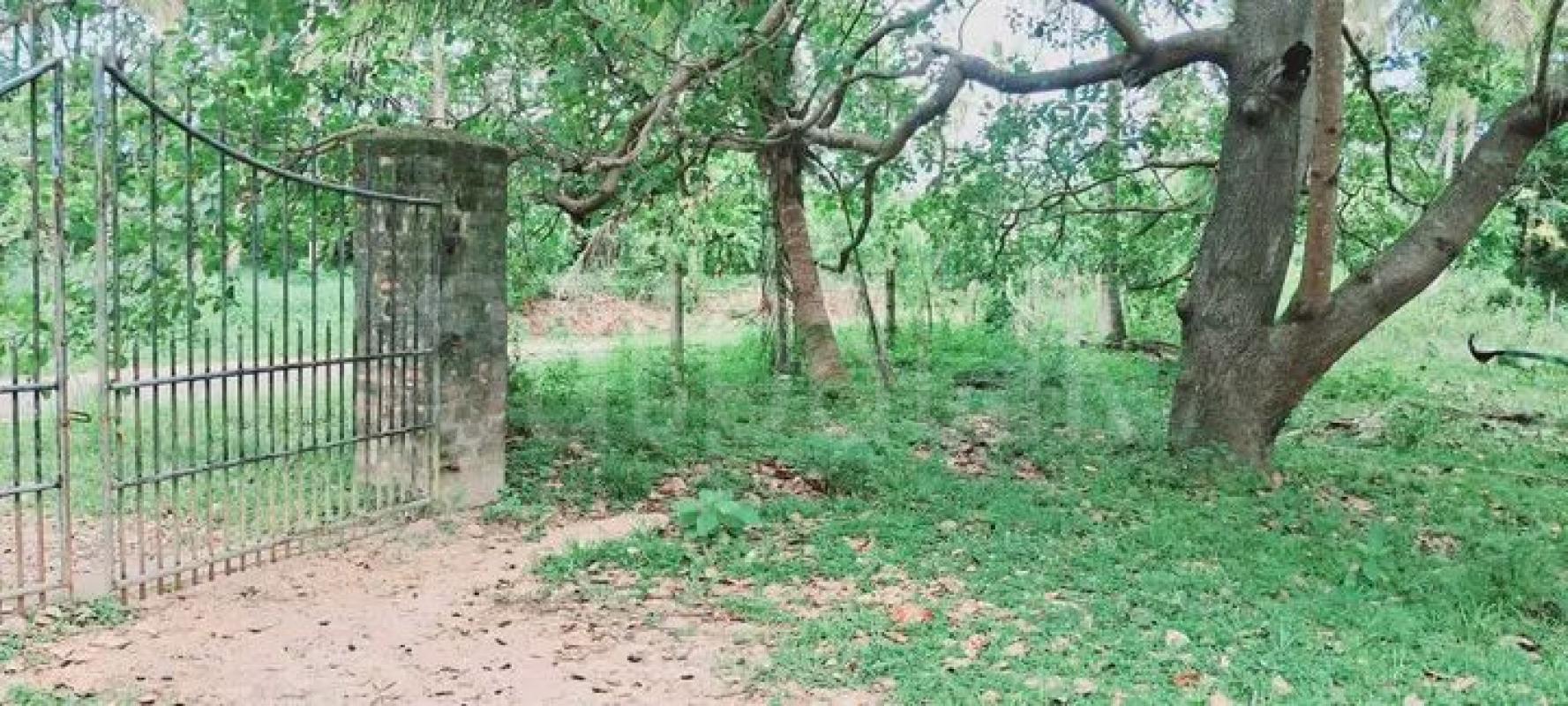 Agricultural Land for Sale in Kurunegala