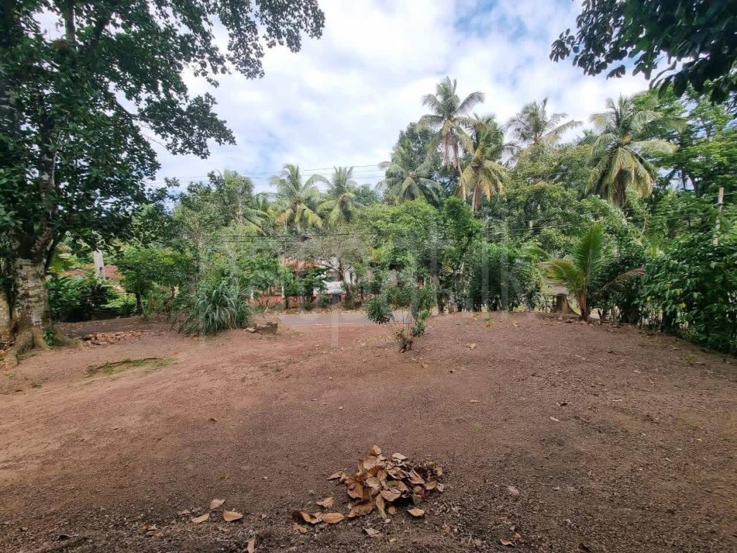 Residential Land for Sale in Yakkala