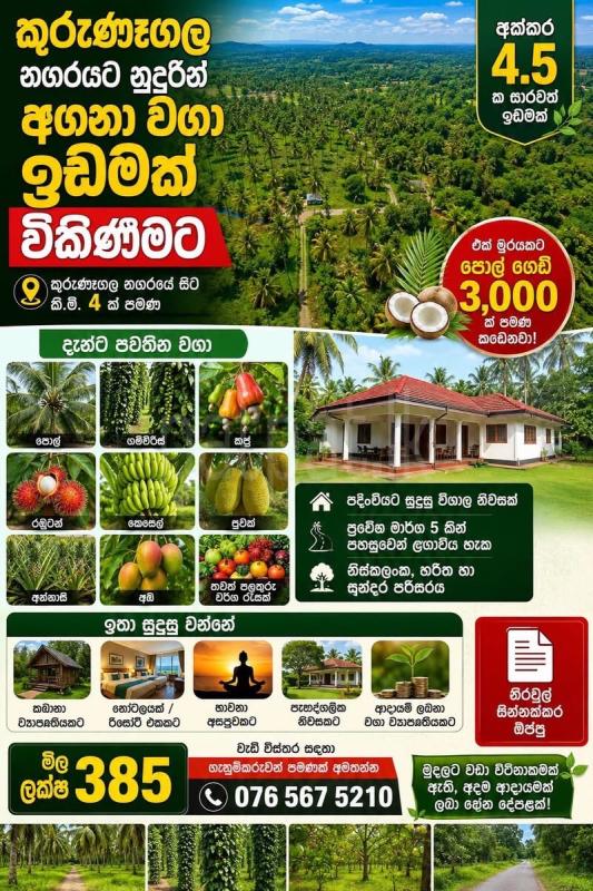 Agricultural Land for Sale in Kurunegala