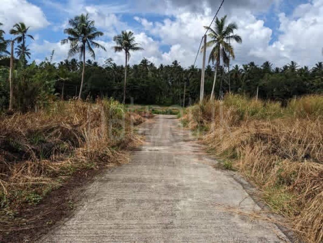 premium-listing-image