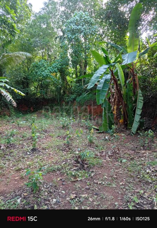 Residential Land for Sale in Veyangoda