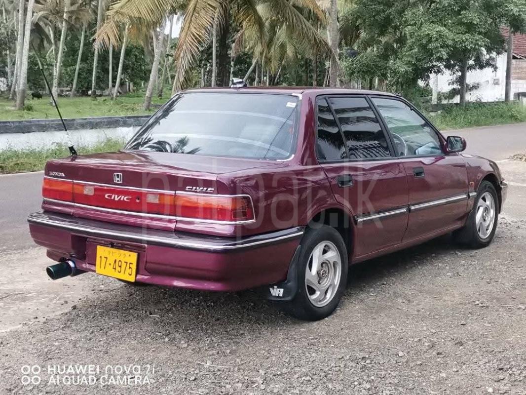 Advertisement image 5