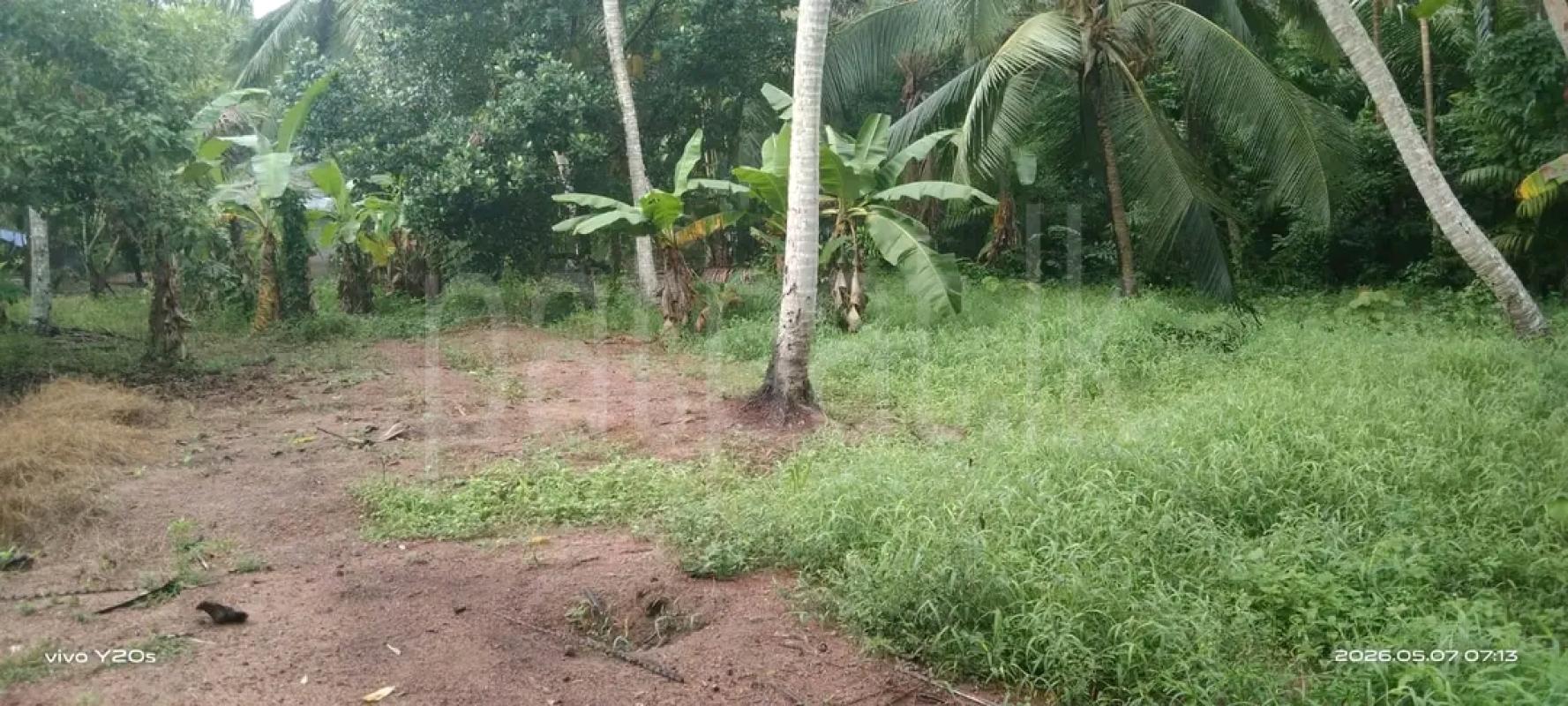 Agricultural Land for Sale in Mawathagama