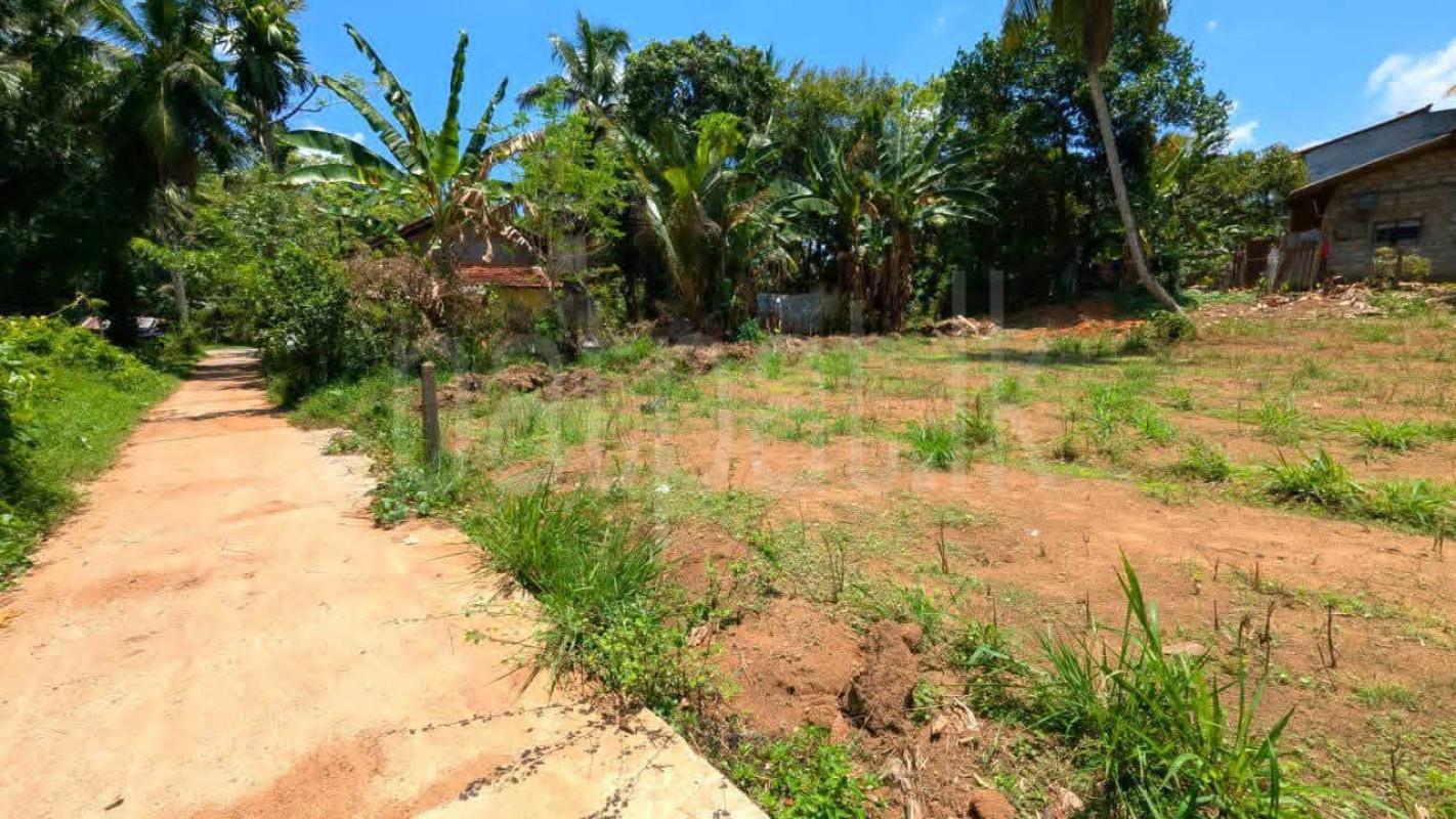 Residential Land for Sale in Yakkala