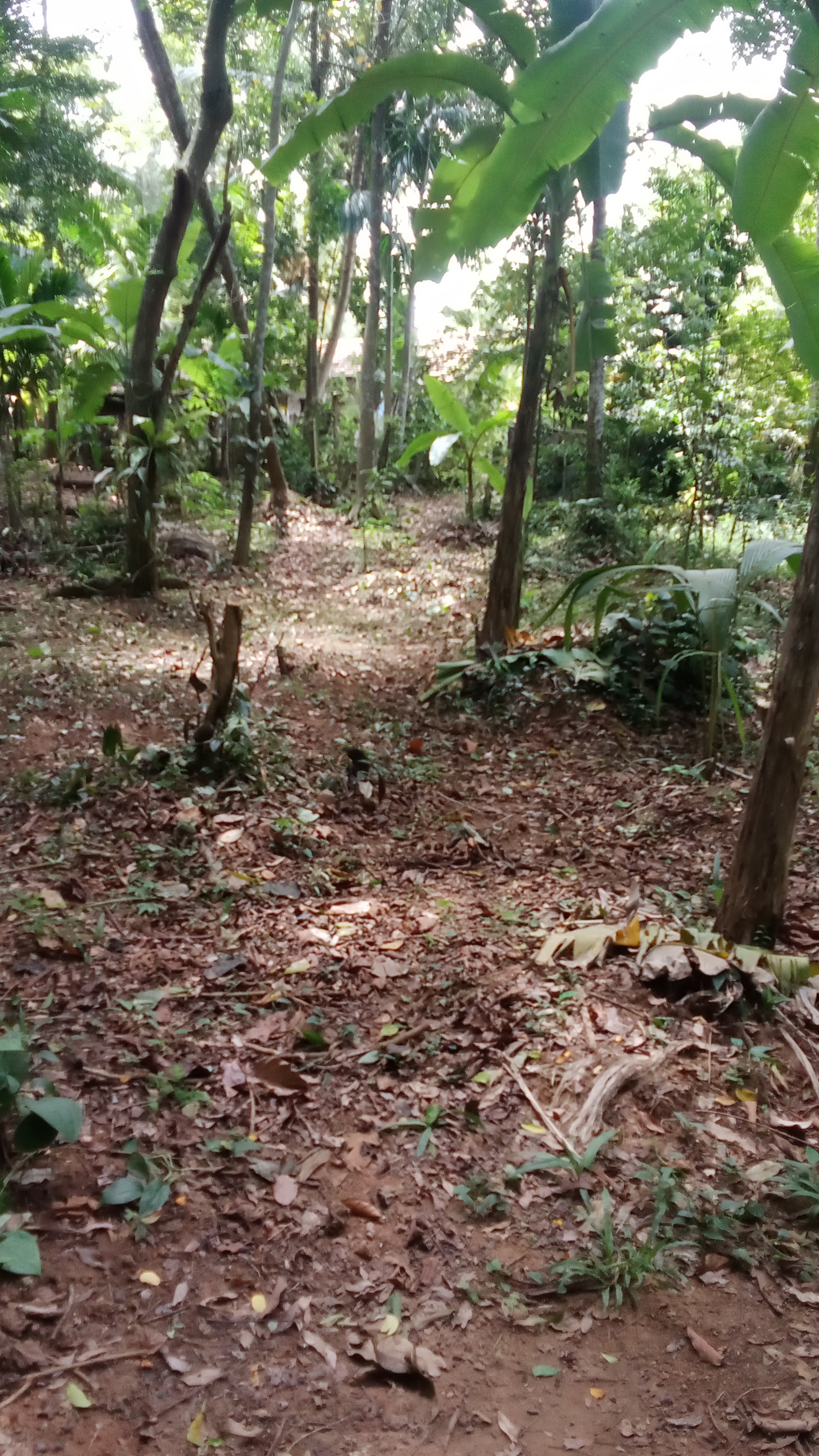 Residential Land for Sale in Kirillawala