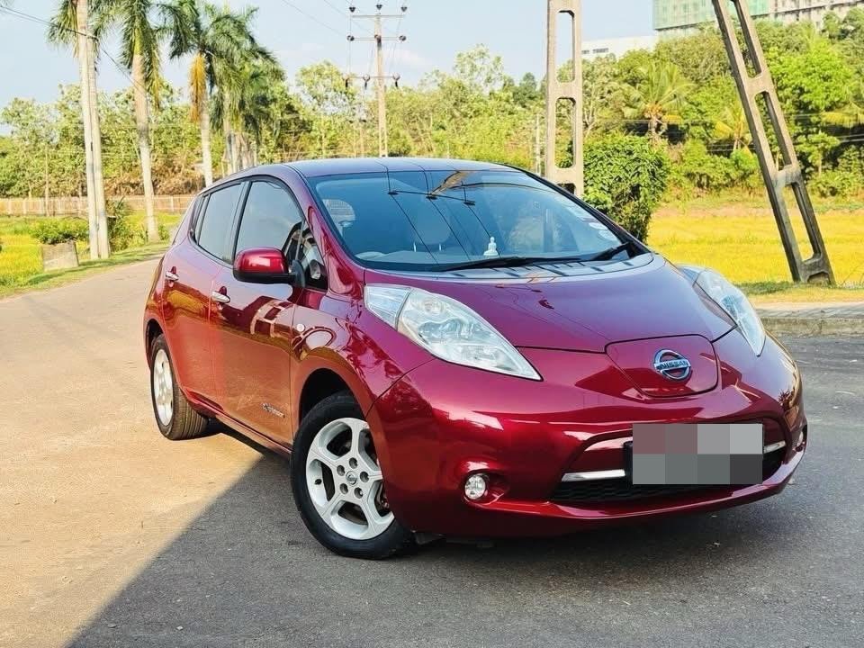 Nissan Leaf 2013