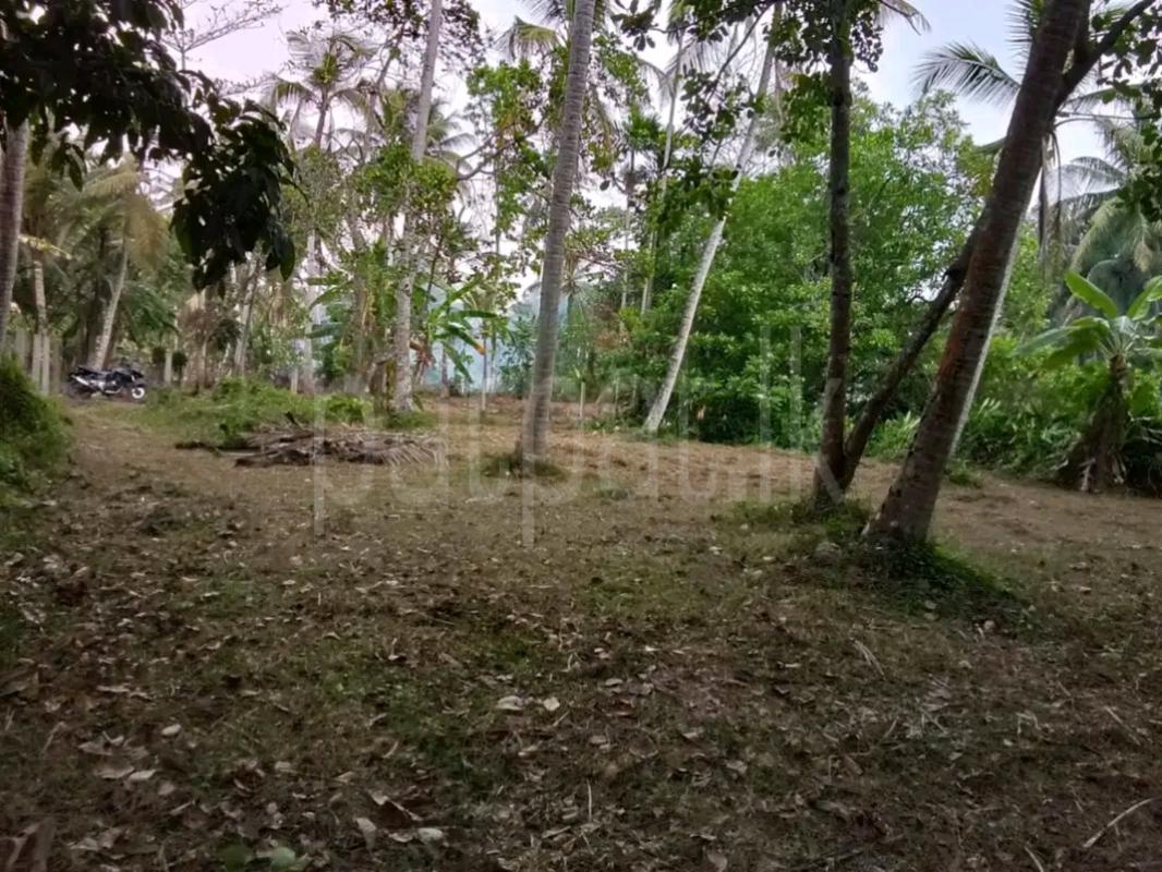 Residential Land for Sale in Ahungalla