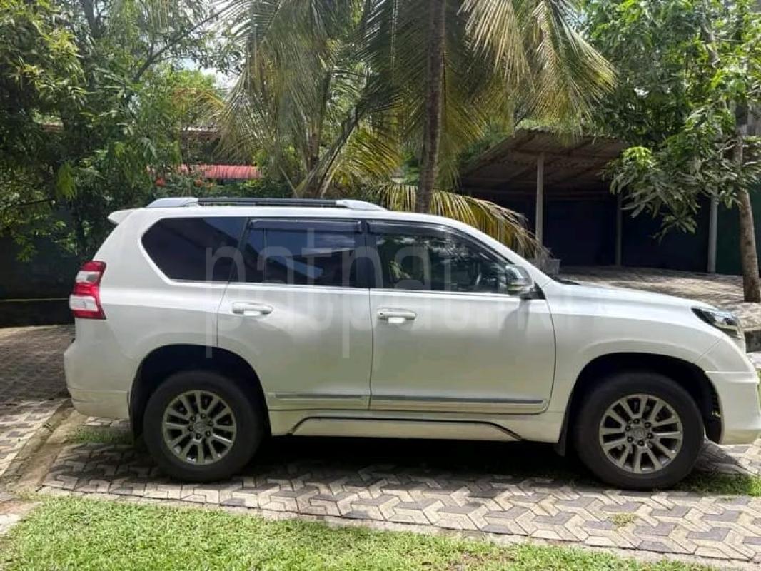 Advertisement image 6