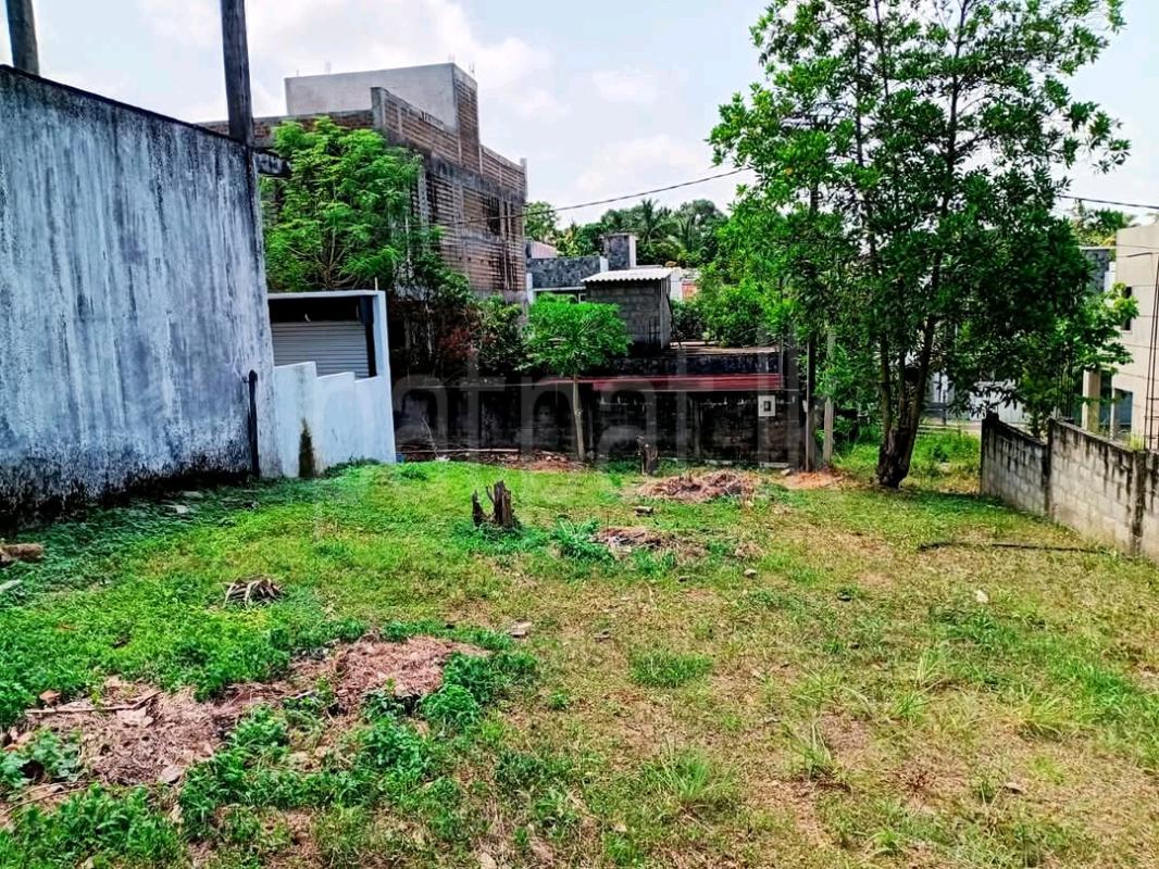 Residential Land for Sale in Akuregoda ads-image-1