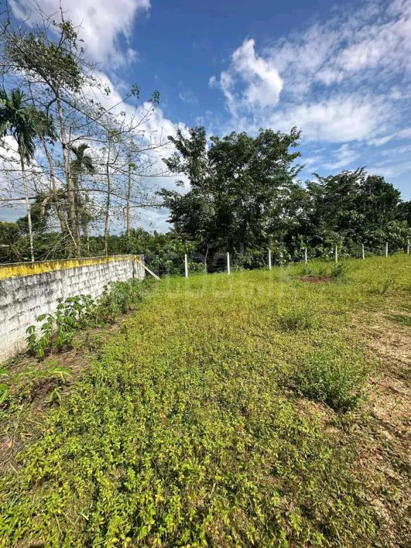 Commercial Land for Sale in Minuwangoda